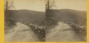 viewofroadinwestbranchvalleyschuylkillcountypa.webp