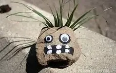 Rock on!.webp