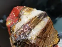 20181218_115316.webp
