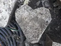 20180328_075938.jpg 20180328_075938.jpg