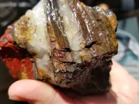 20181218_115246.webp