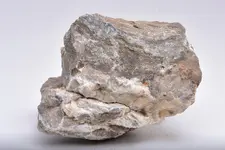 sandstone with calcite and pyrite2.webp