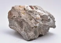 sandstone with calcite and pyrite3.webp