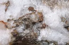 pyrite crystals.webp