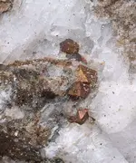 pyrite crystals2.webp