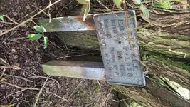 IMG-20190115-WA0016.webp