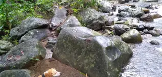IMG20190101130206.webp