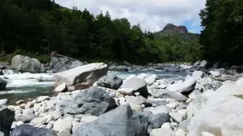 20160703_115036.webp
