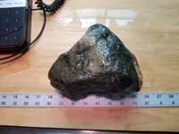 20181212_114929.webp