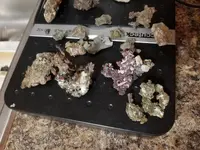 20181204_204922.webp