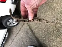 old metal strap.webp old metal strap.webp