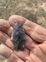 ImageUploadedByTreasureNet.com1547578408.106015.webp