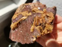 20181218_122838.webp
