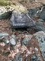 G Stone.webp