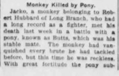 monkey killed part 1 1902.jpg