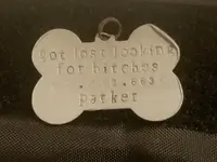 funny dog tag.webp