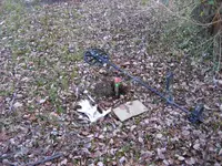 IMG_2438.webp