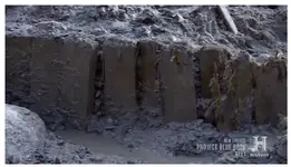 wall.webp