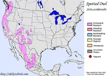 spotted_owl_map_large.webp