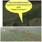 PhotoCollage_1550808412650.webp