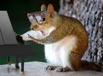 Squirrel_Elton_John.webp