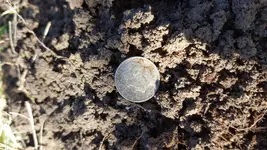 20181226_112544.webp