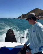606b0df09802072ef66e9dd0db4c4d9f.gif