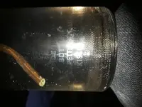 20181219_193816.webp