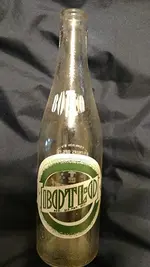 81YOZiwPqRL._SY741_.webp