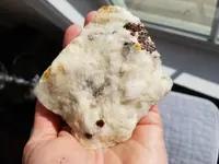 20181218_121717.webp