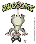 awesomepossum.webp