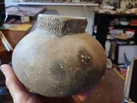 Mo. pot.webp