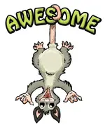 awesomepossum.jpg