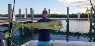 20190203_164132.webp