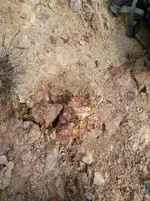 IMG_20181209_110143119.webp