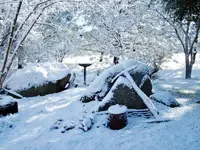 Snow Feb 22, 2019.webp