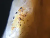 F4F2FCDA-3AE6-4FFA-901A-208763615DC1.webp