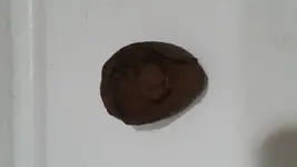 20190210_220248.webp