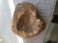 20181219_135507.webp