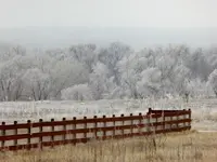 walk 022219 1.webp