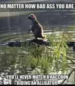 0e48fc9022d8ba3b919d728b076094b2.webp