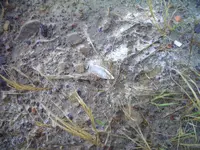 CIMG7586.webp CIMG7586.webp