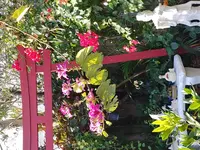 20190209_085522_HDR.webp