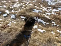 walk 011619 1.webp