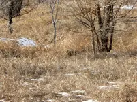 walk 011619 2.webp