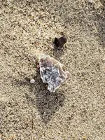 20190109_130736.webp