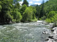 188_8814.webp