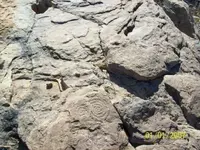 Ark Ophir 016.webp