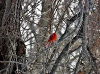 K1600_DSCN3572.webp