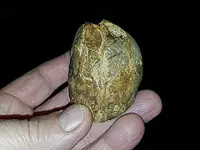 IMG_20181214_204202.webp